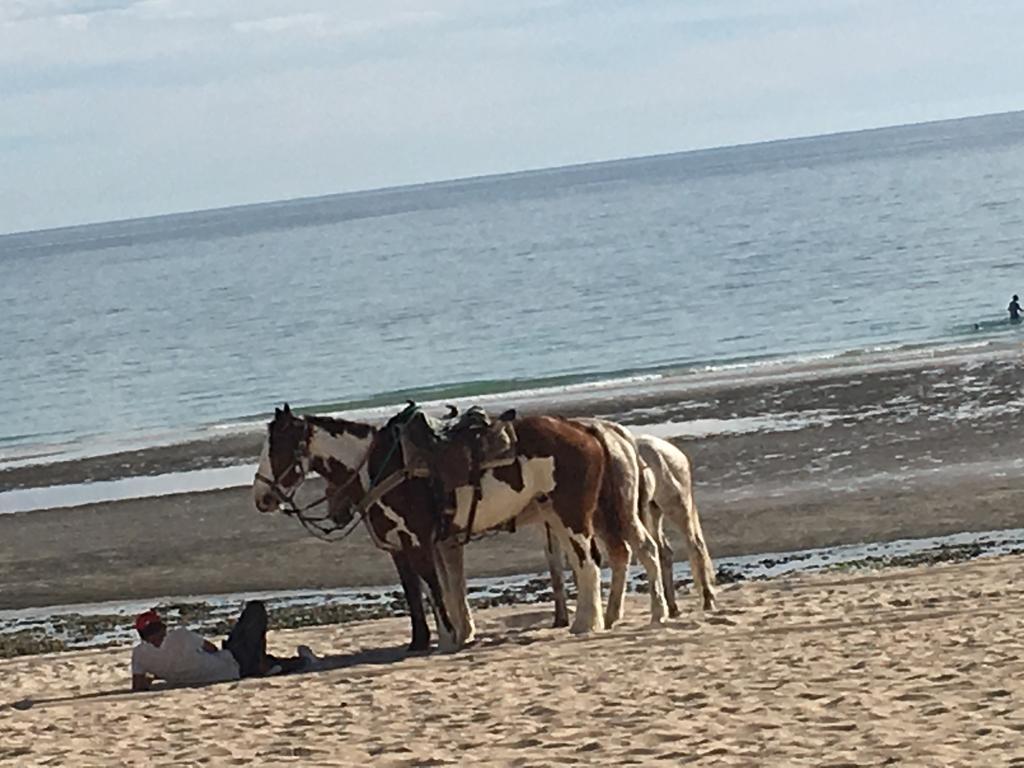 Sea-Esta Condo On The Beach Puerto Peñasco エクステリア 写真